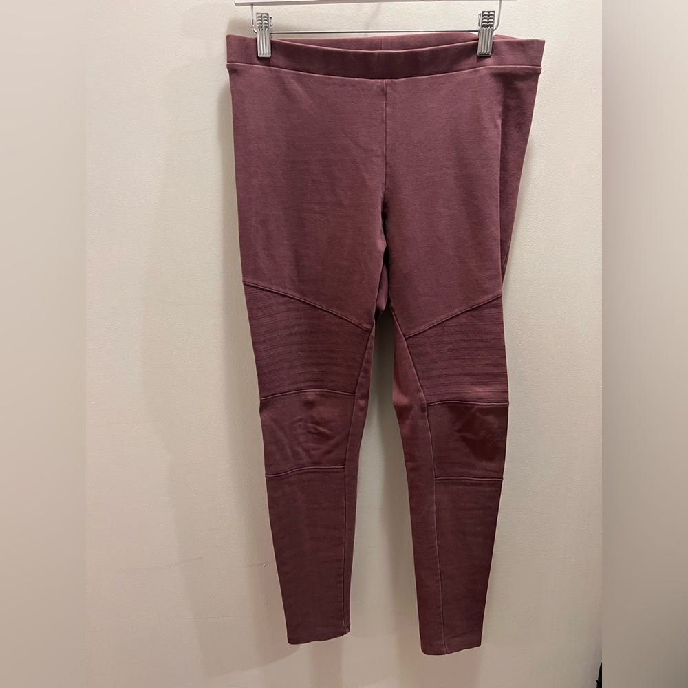 Express women’s dress pants